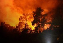 «Demasiado tarde para evacuar»: Australia en alerta crítica por incendios Foto: Australia Occidental bajo alerta máxima /cortesía