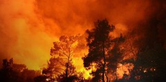 Foto: Australia Occidental bajo alerta máxima /cortesía