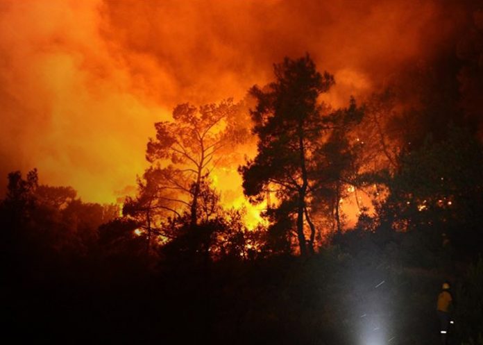 Foto: Australia Occidental bajo alerta máxima /cortesía
