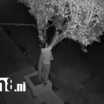 Foto: ¡Cuidado con los Grinch en Chinandega! Roban luces navideñas en barrio El Calvario/TN8