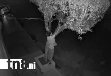 ¡Cuidado con los Grinch en Chinandega! Roban luces navideñas en barrio El Calvario Foto: ¡Cuidado con los Grinch en Chinandega! Roban luces navideñas en barrio El Calvario/TN8