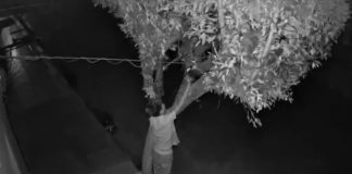 Foto: ¡Cuidado con los Grinch en Chinandega! Roban luces navideñas en barrio El Calvario/TN8