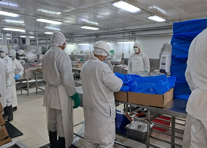 Foto: Nicaragua, La carne bovina como pilar estratégico de la economía nacional/Cortesía