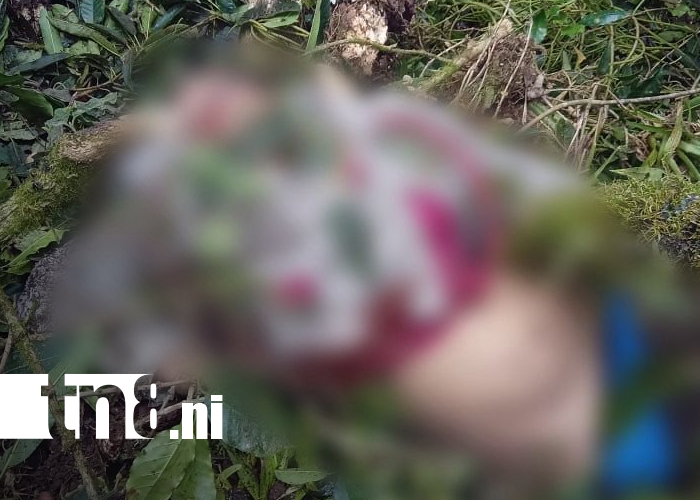 Foto: Tragedia mortal durante corte de café en Madriz/TN8