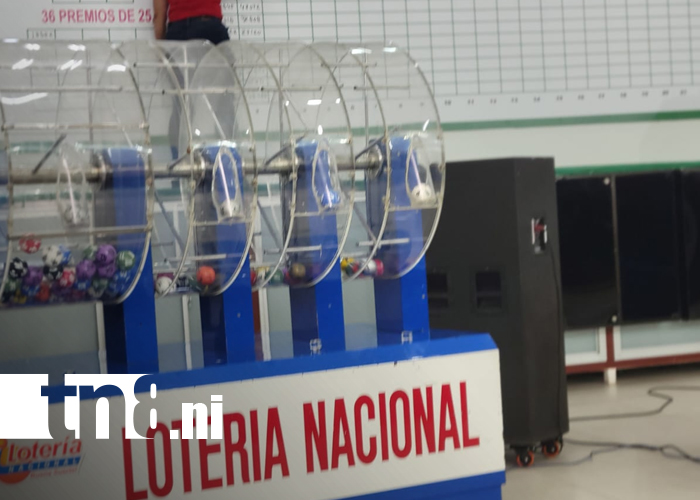 Foto: 15570 gana el premio mayor de 50 millones en la Lotería Nacional/TN8