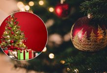 Lo que no sabías del 24 de diciembre: tradiciones sorprendentes en el mundo Foto: Lo que no sabías del 24 de diciembre: tradiciones sorprendentes en el mundo / Cortesía