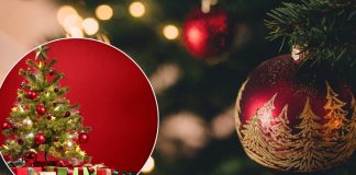 Foto: Lo que no sabías del 24 de diciembre: tradiciones sorprendentes en el mundo / Cortesía