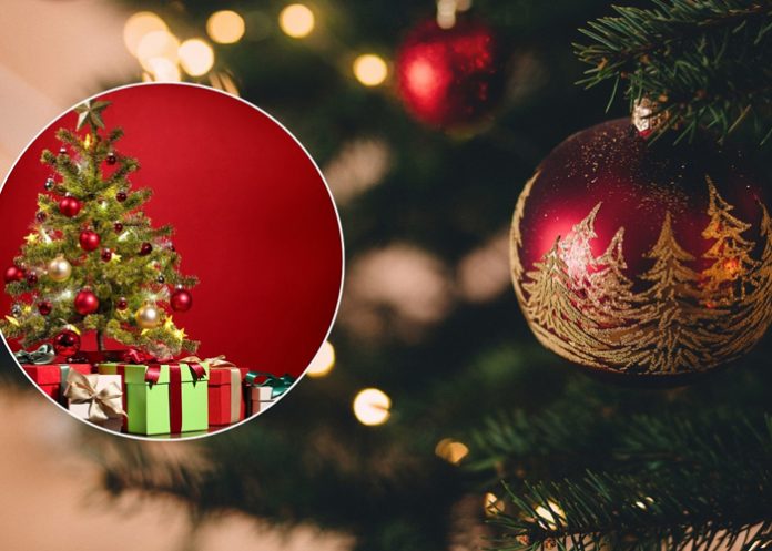 Foto: Lo que no sabías del 24 de diciembre: tradiciones sorprendentes en el mundo / Cortesía