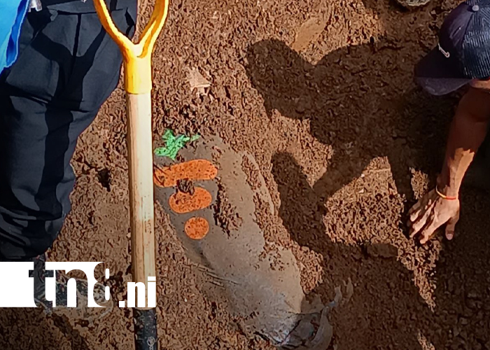 Foto: Tragedia minera en Santo Domingo: adulto mayor muere al caer en hoyo artesanal/TN8