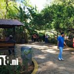 Foto:Familias disfrutan del Zoológico Nacional/TN8
