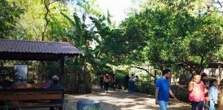 Foto:Familias disfrutan del Zoológico Nacional/TN8