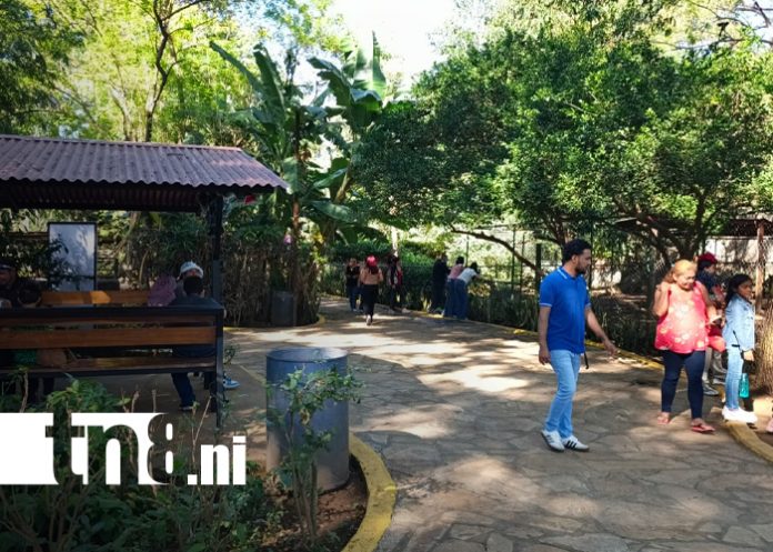 Foto:Familias disfrutan del Zoológico Nacional/TN8
