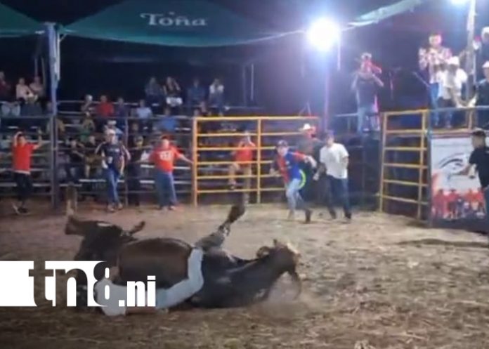 Foto: Torero menor lesionado en montas taurinas de Ometepe/TN8 Foto: Torero menor lesionado en montas taurinas de Ometepe/TN8