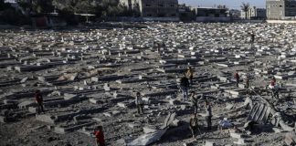 Foto: Crisis en Gaza /cortesía