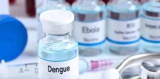 Foto: Brasil aprueba la vacuna contra el dengue /Cortesía