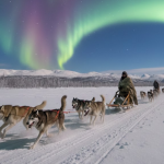 Imágenes desde Alaska muestran un paisaje tan perfecto que internet no tardó en enamorarse Foto: Un paseo en trineo bajo una aurora boreal conquista las redes en Alaska/ IA