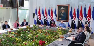 Foto: Nicaragua en la XXV Cumbre del ALBA-TC /TN8