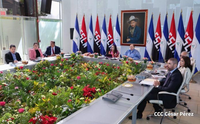 Foto: Nicaragua en la XXV Cumbre del ALBA-TC /TN8