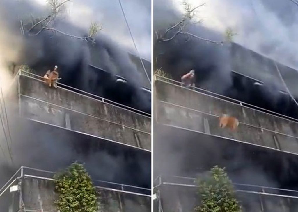 Mujer arriesga su vida para rescatar a sus perros durante incendio en ...