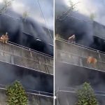 Mujer arriesga su vida para rescatar a sus perros durante incendio en Filipinas Foto: Valiente rescate de mascotas en pleno incendio en Filipinas /Cortesía
