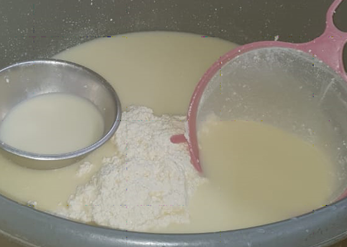 Foto: Nicaragua fortalece su industria en el queso/TN8