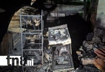 Voraz incendio deja a una familia sin hogar en Anexos a Waspán Sur, Managua Foto: Voraz incendio deja a una familia sin hogar en Anexos a Waspán Sur, Managua/TN8
