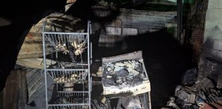 Foto: Voraz incendio deja a una familia sin hogar en Anexos a Waspán Sur, Managua/TN8