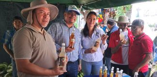 Foto: Exitoso Festival y Feria del Plátano en la Isla de Ometepe fortalece la producción/TN8