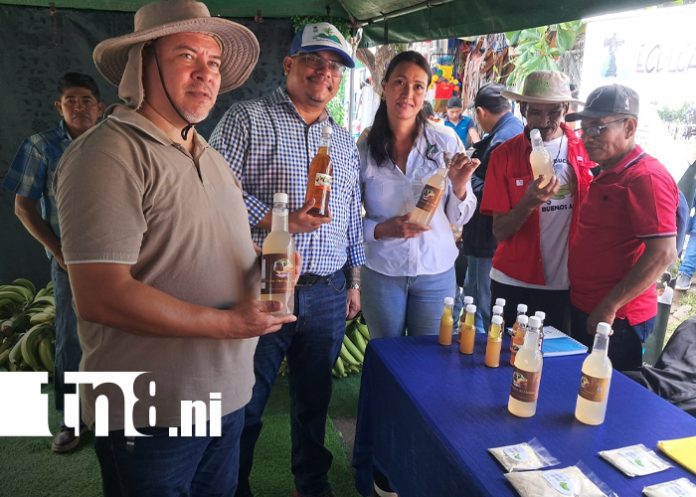 3 Foto: Exitoso Festival y Feria del Plátano en la Isla de Ometepe fortalece la producción/TN8