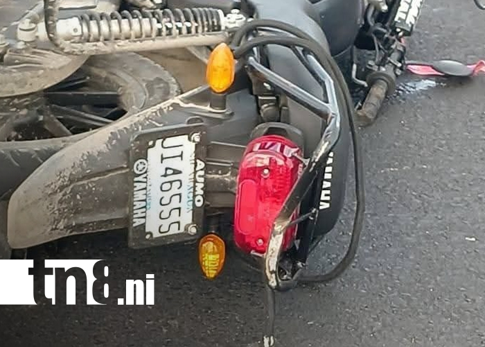 Foto: Tragedia en la Panamericana Norte: adolescente muere tras impacto con rastra/TN8