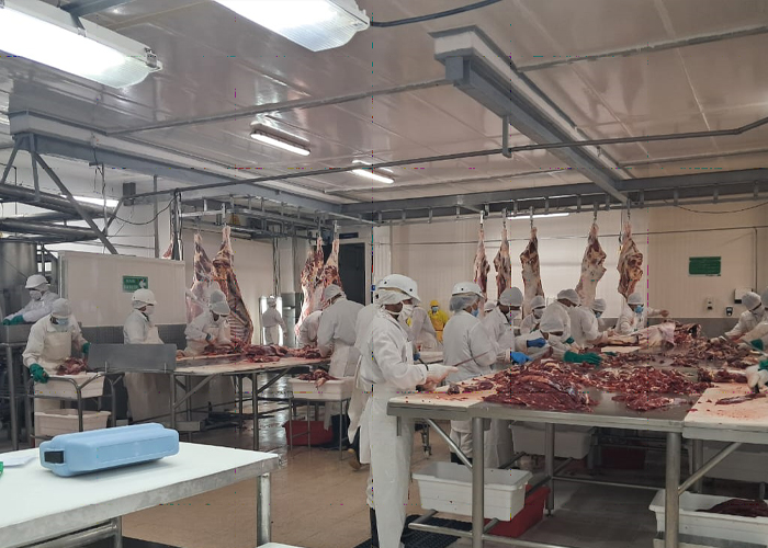 Foto: Nicaragua, La carne bovina como pilar estratégico de la economía nacional/Cortesía