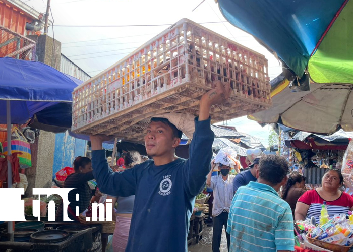 Foto: Mercado municipal registra fuerte movimiento comercial/TN8