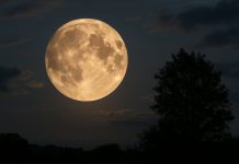 Superluna, lluvias de meteoros y planetas: los espectáculos de diciembre Foto: La superluna puede parecer un 14 % más grande/ Cortesía