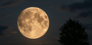 Foto: La superluna puede parecer un 14 % más grande/ Cortesía