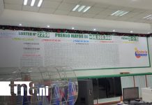 Foto: 15570 gana el premio mayor de 50 millones en la Lotería Nacional/TN8