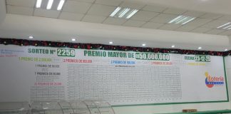 Foto: 15570 gana el premio mayor de 50 millones en la Lotería Nacional/TN8