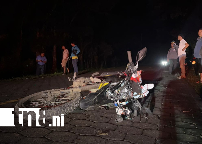 Foto: Motociclista ebrio choca contra vaca en La Chichi Mora/TN8