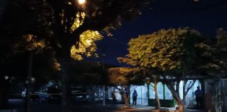 Foto: joven presuntamente asesina a su abuela y luego se quita la vida/TN8
