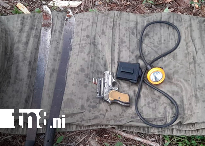 Foto: Batallón Ecológico "BOSAWAS” asesta golpes a la tala y tráfico ilegal en el Caribe Norte/TN8