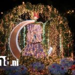 Foto: Los CoPresidentes de Nicaragua celebran La Purísima en familia, reafirmando fe y tradición/TN8