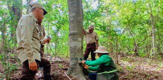 Foto: MARENA fortalece el monitoreo de la biodiversidad en el Refugio Río Escalante Chacocente/Cortesía