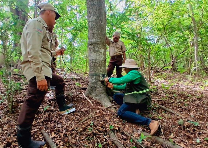Foto: MARENA fortalece el monitoreo de la biodiversidad en el Refugio Río Escalante Chacocente/Cortesía