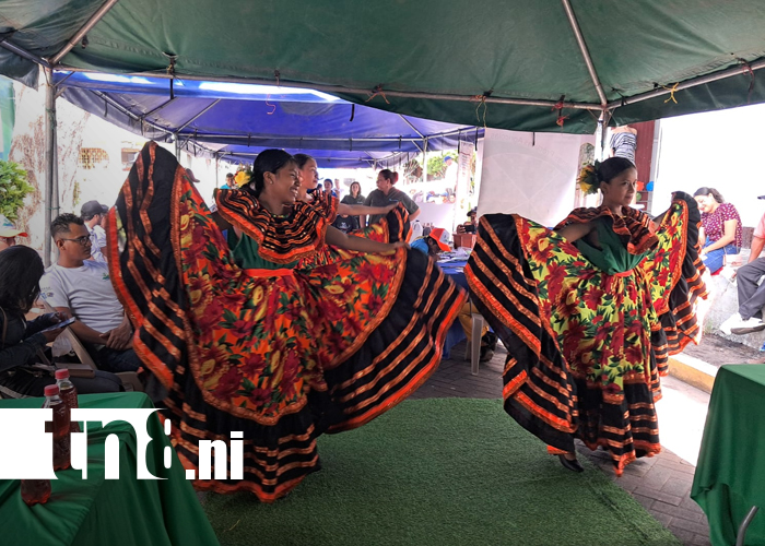 Foto: Exitoso Festival y Feria del Plátano en la Isla de Ometepe fortalece la producción/TN8