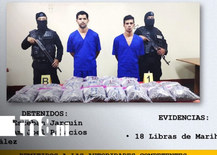 Foto: Policía Nacional captura a dos sujetos con 18 libras de marihuana en Matagalpa/TN8 Foto: Policía Nacional captura a dos sujetos con 18 libras de marihuana en Matagalpa/TN8