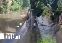 Foto: Rescatan a pareja arrastrada por un cauce en Managua /TN8