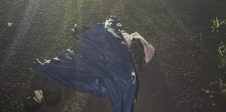 Foto: Motociclista queda gravemente lesionado tras chocar contra valla/TN8