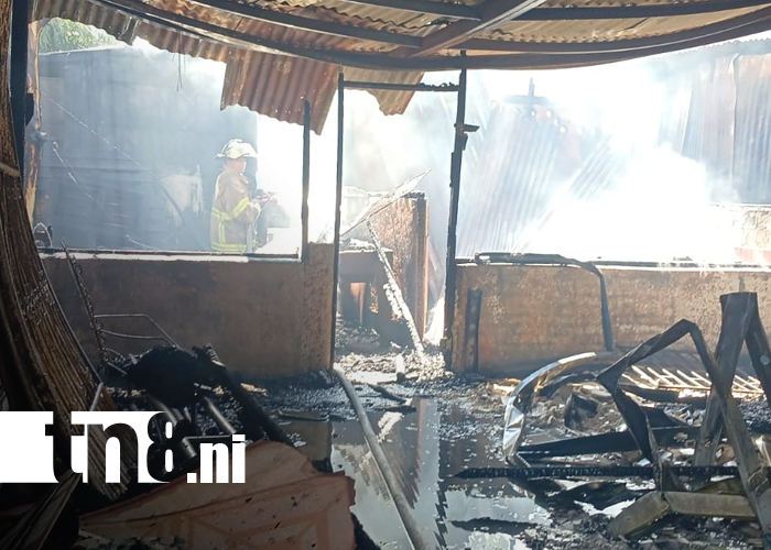 Foto: Familia pierde hogar y mascotas tras incendio en Managua/TN8