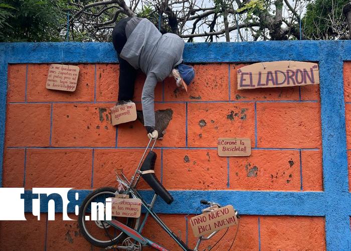 Foto: Original viejo alusivo a un caponero en Tisma ha despertado curiosidad y admiración/TN8