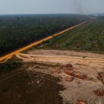 Foto: Tala ilegal destruye la Amazonía/ Cortesía