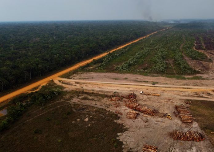 Foto: Tala ilegal destruye la Amazonía/ Cortesía